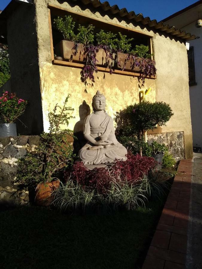 Casa Jade 호텔 테포츨란 외부 사진